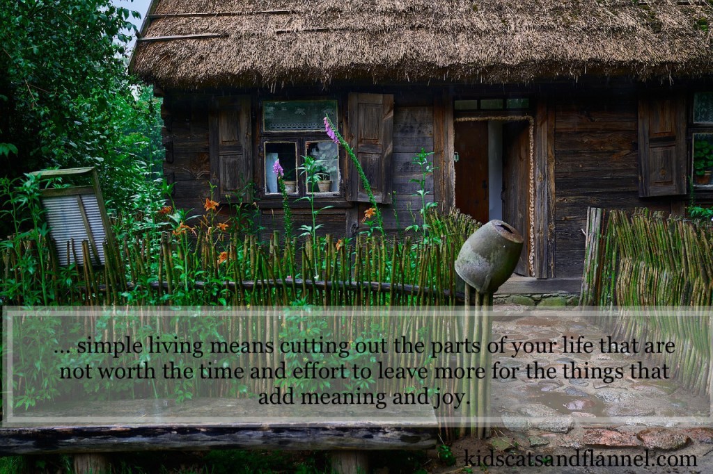 Simple living simple life simplify wabi sabi simplicity quotes